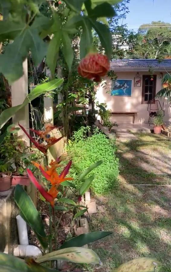 Casa Mico Leao Dourado Villa Bombinhas Exterior photo
