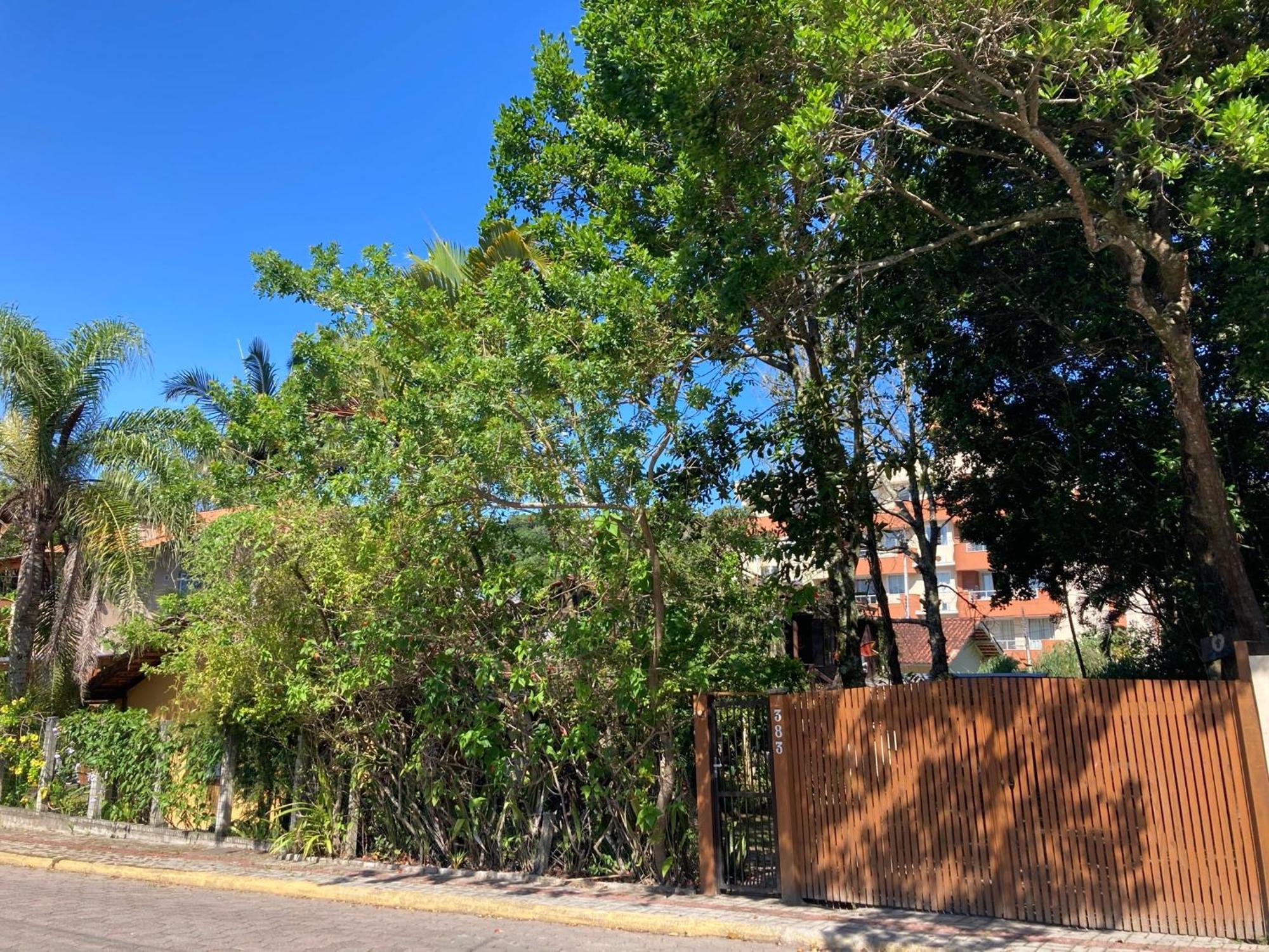 Casa Mico Leao Dourado Villa Bombinhas Exterior photo